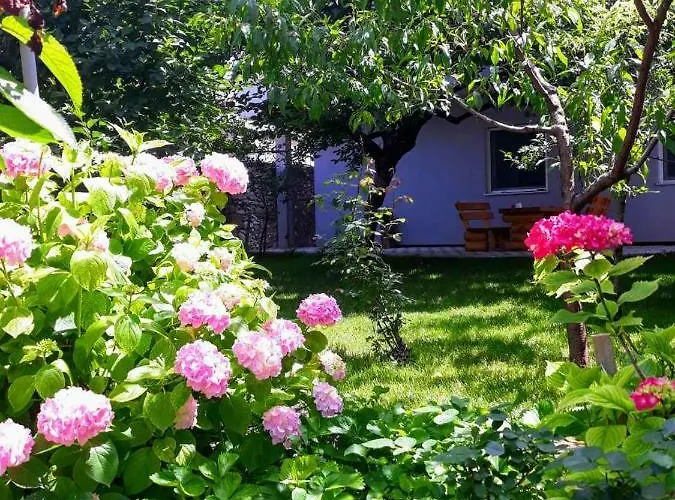 Semesterbostad Uno *